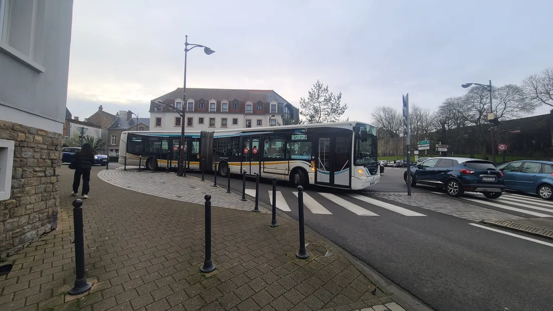 Bus marineo