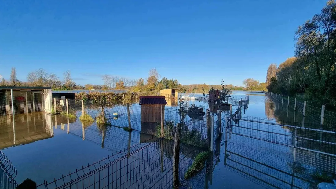 L'élevage complétement inondé ces derniers jours.