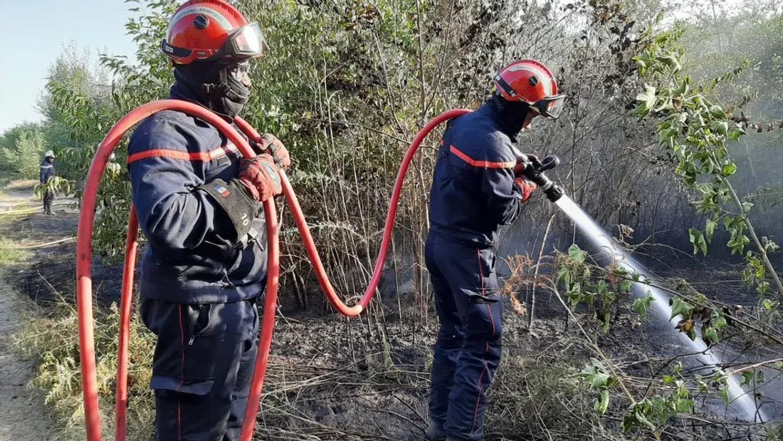 incendie forêt