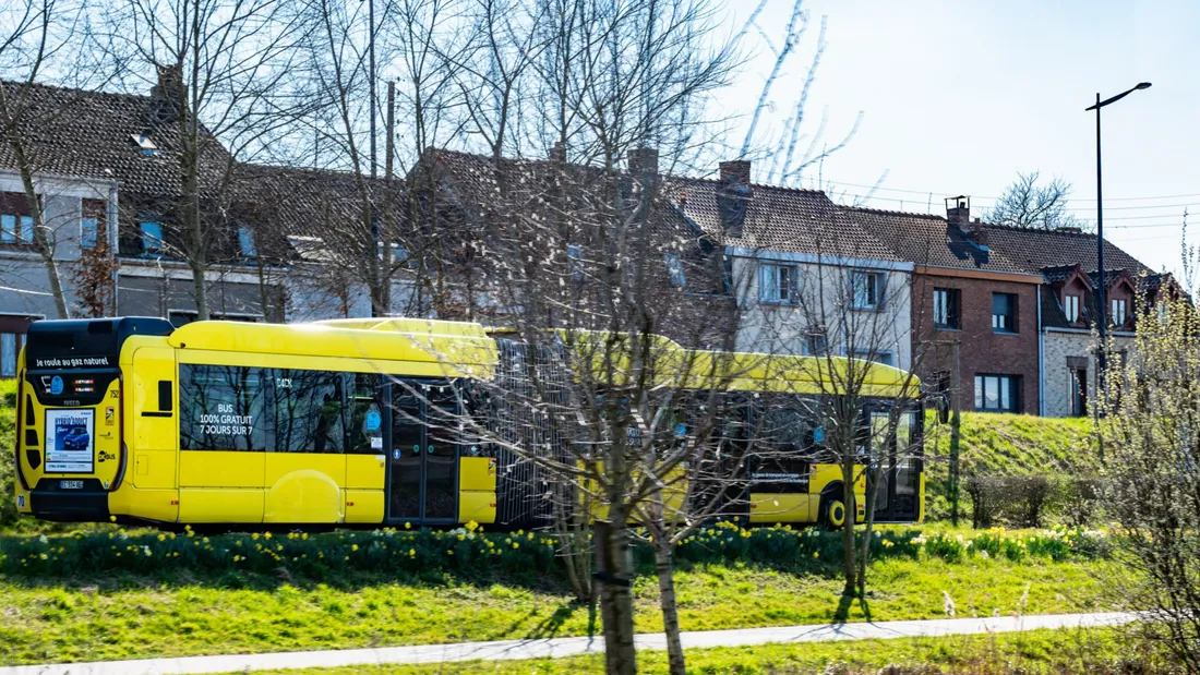 Dk'Bus, illustration