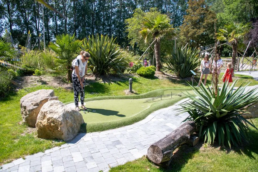 Mini golf