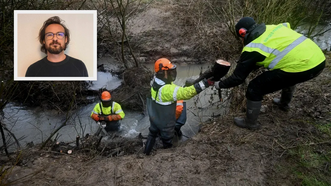 entretien cours d'eau