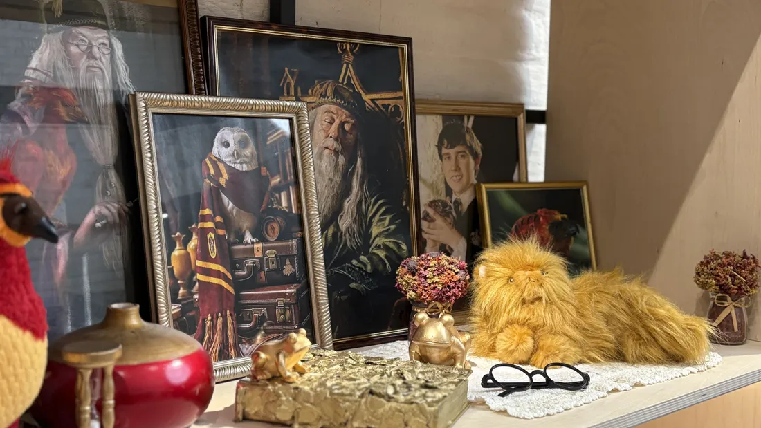 harry potter fort des dunes 