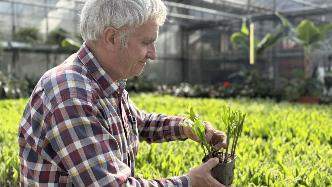 Bruno Obert proposera plus de 250 variétés à son stand. 