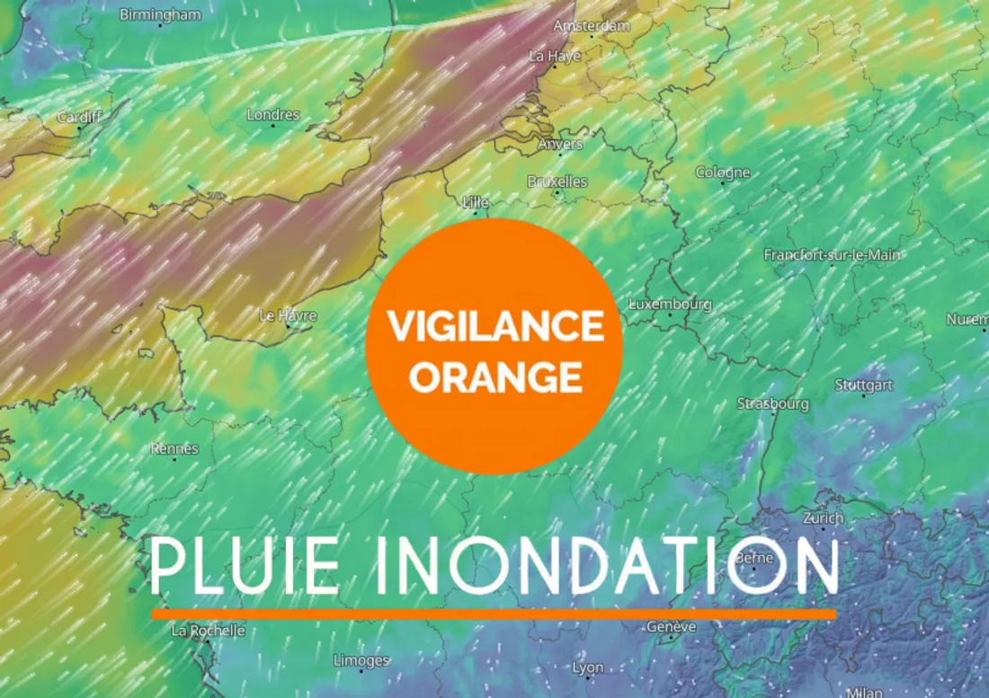 Vigilance orange 