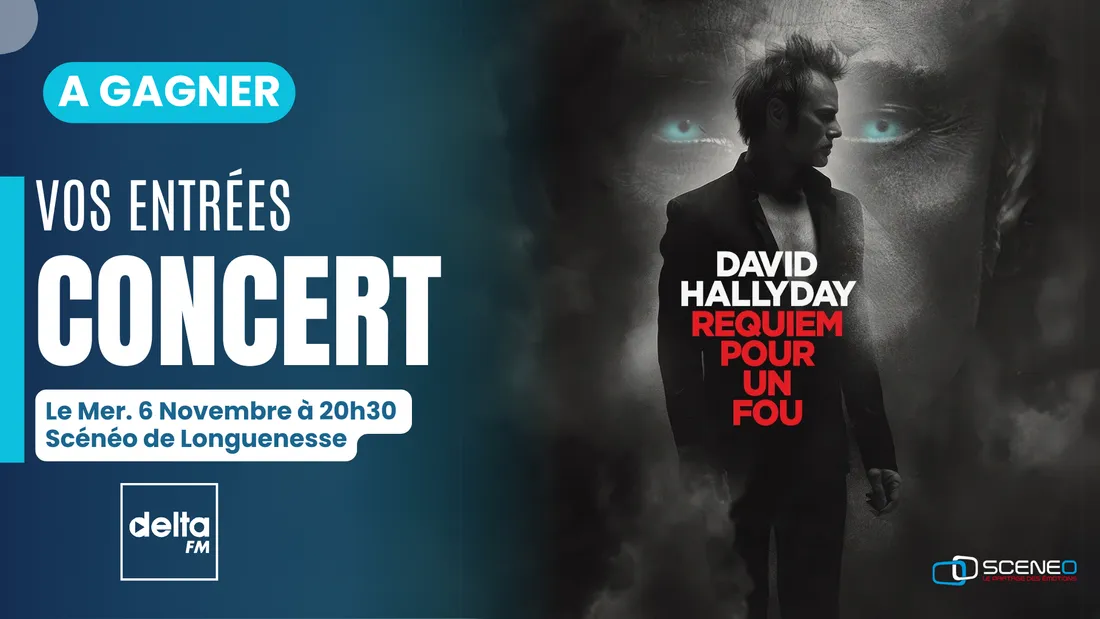 David Hallyday