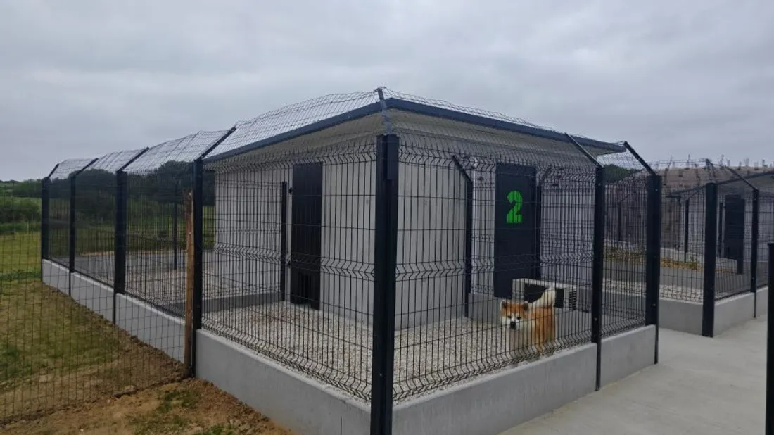 La formule Cottage permet aux chiens d'avoir plus d'espace et moins de voisins.