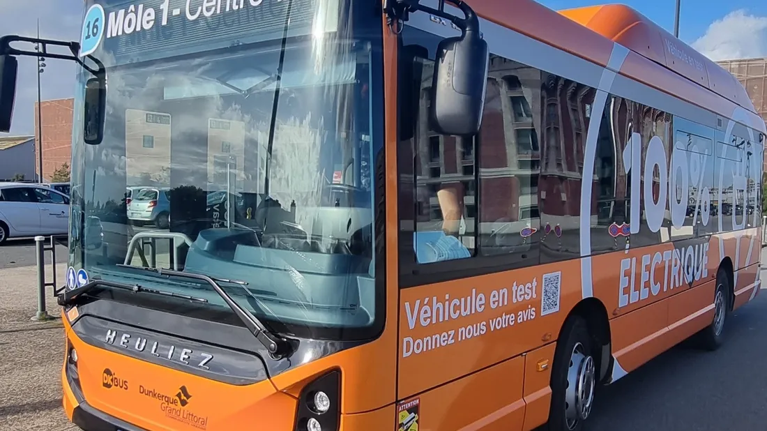 Bus