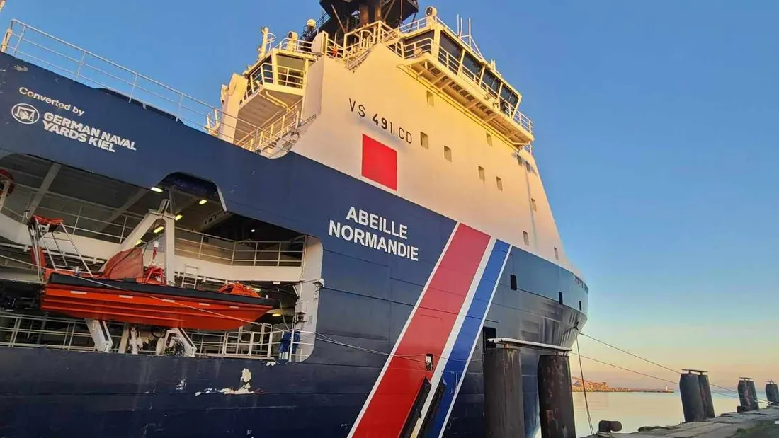 Abeille normandie
