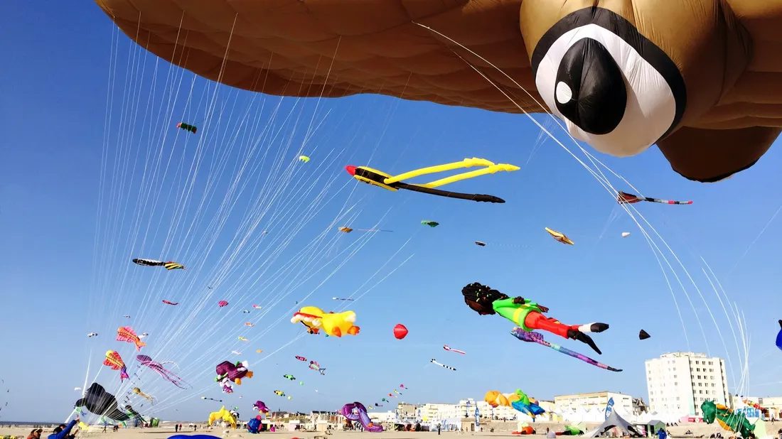 Rencontres Internationales de cerf-volants
