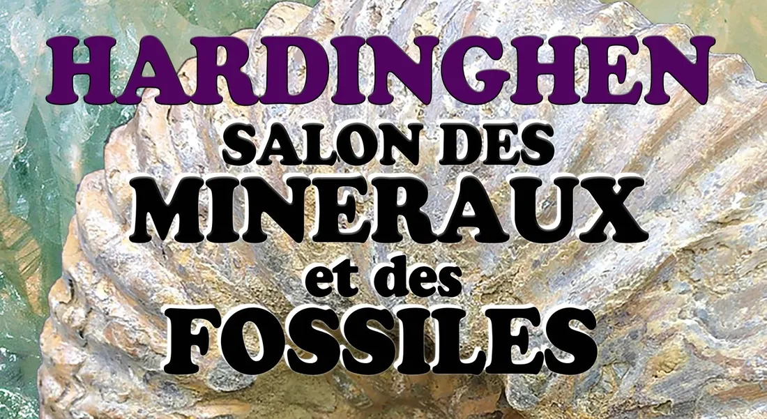 Salon des minéraux et des Fossiles
