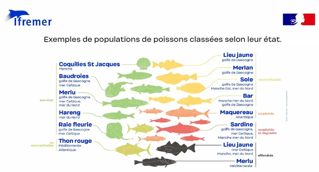 poissons 2023