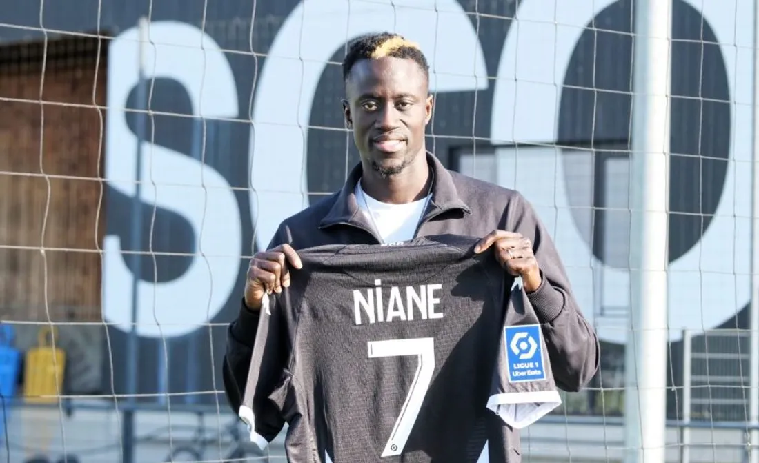 Ibrahima Niane pourrait faire son retour avec Angers.