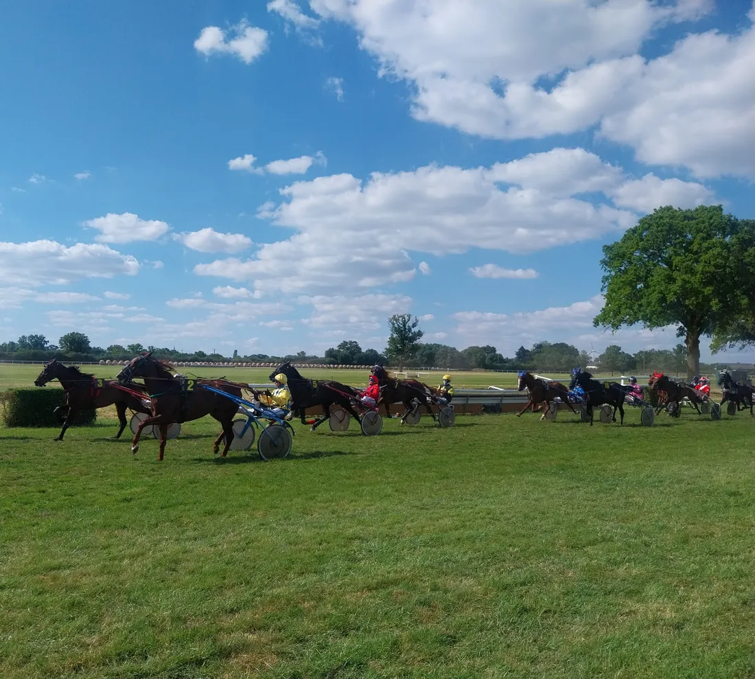 Hippodrome Erbray - Trot