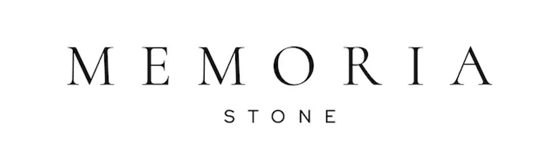MS LOGO