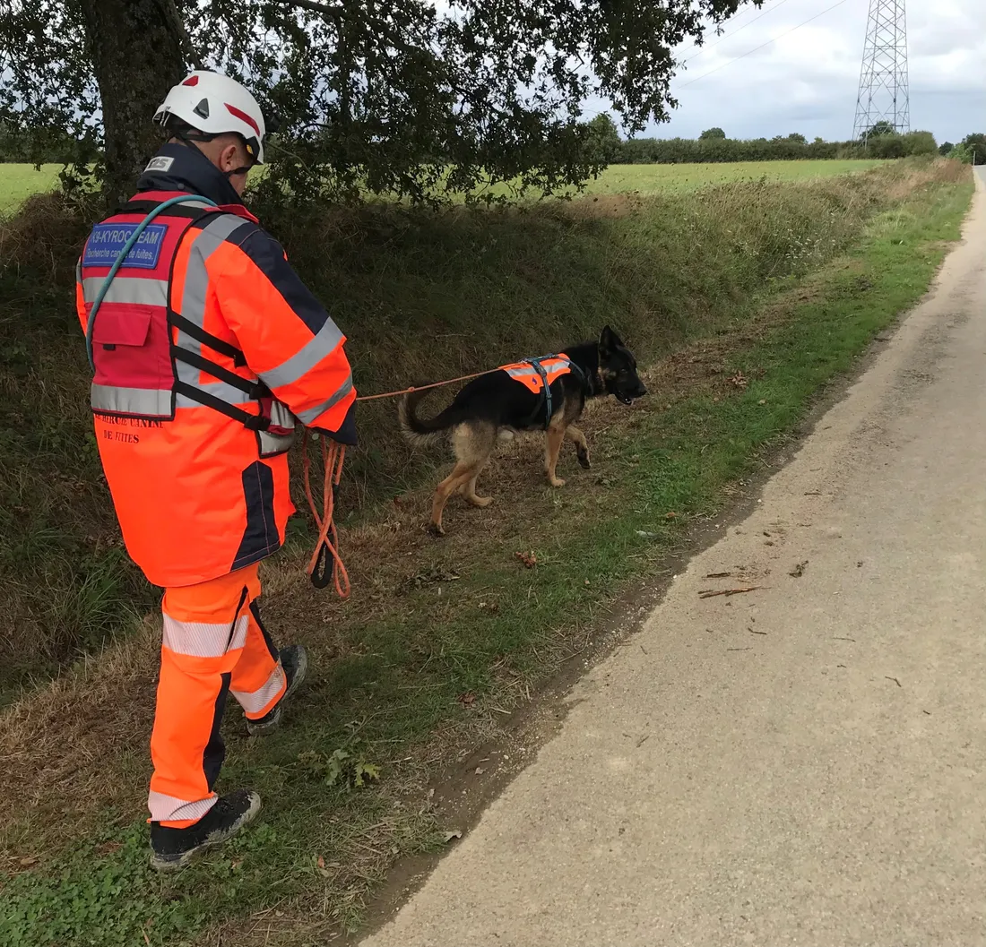 Au total, six chiens et deux cynotechniciens étaient mobilisés hier à Château-Gontier. 