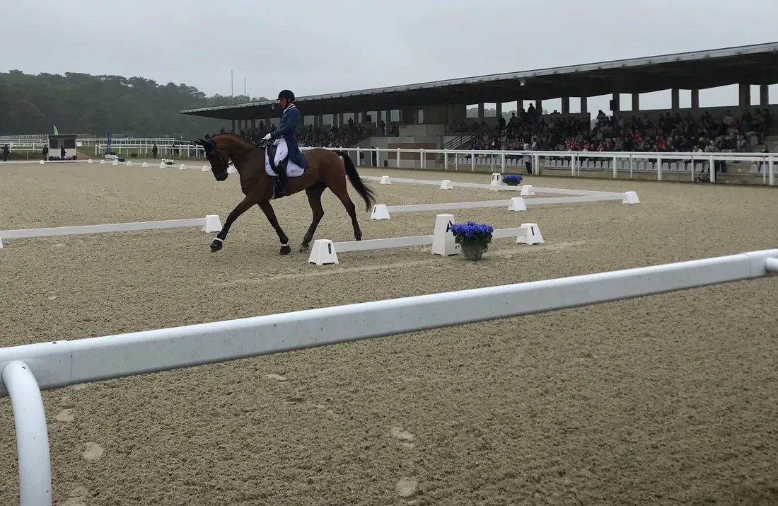 Mardi, cinq cavaliers se sont illustrés au parc de l'Isle-Briand devant plus de 700 spectateurs.