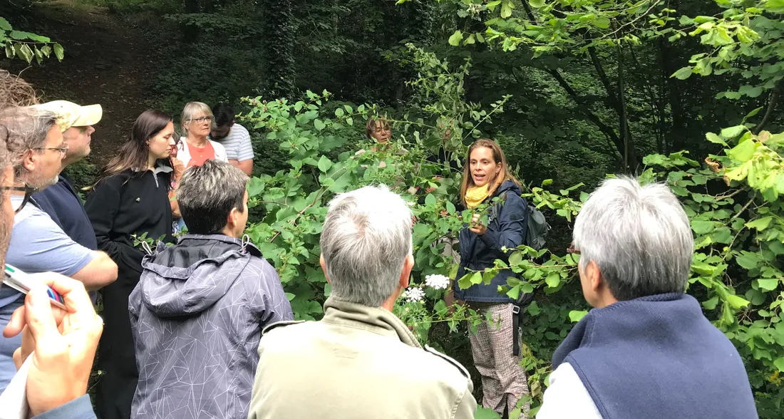 Dans la Vallée du Misengrain, on dénombre une quinzaine de plantes médicinales. 