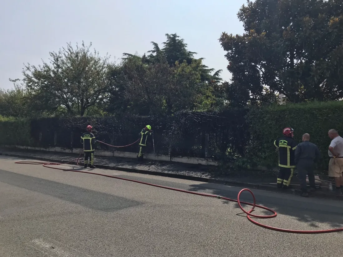 incendie haie Le Lion d'Angers_22 08 24_Pierre-Louis Besnier