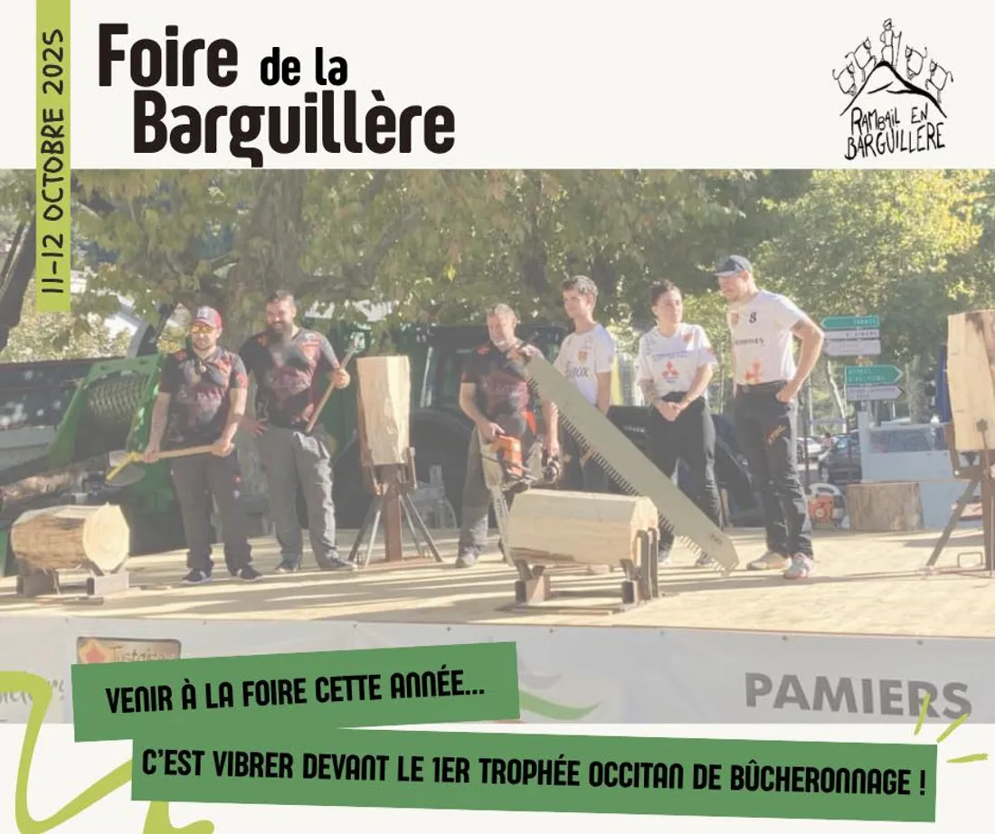 La Coupe de France de Timbersport débarque à la foire