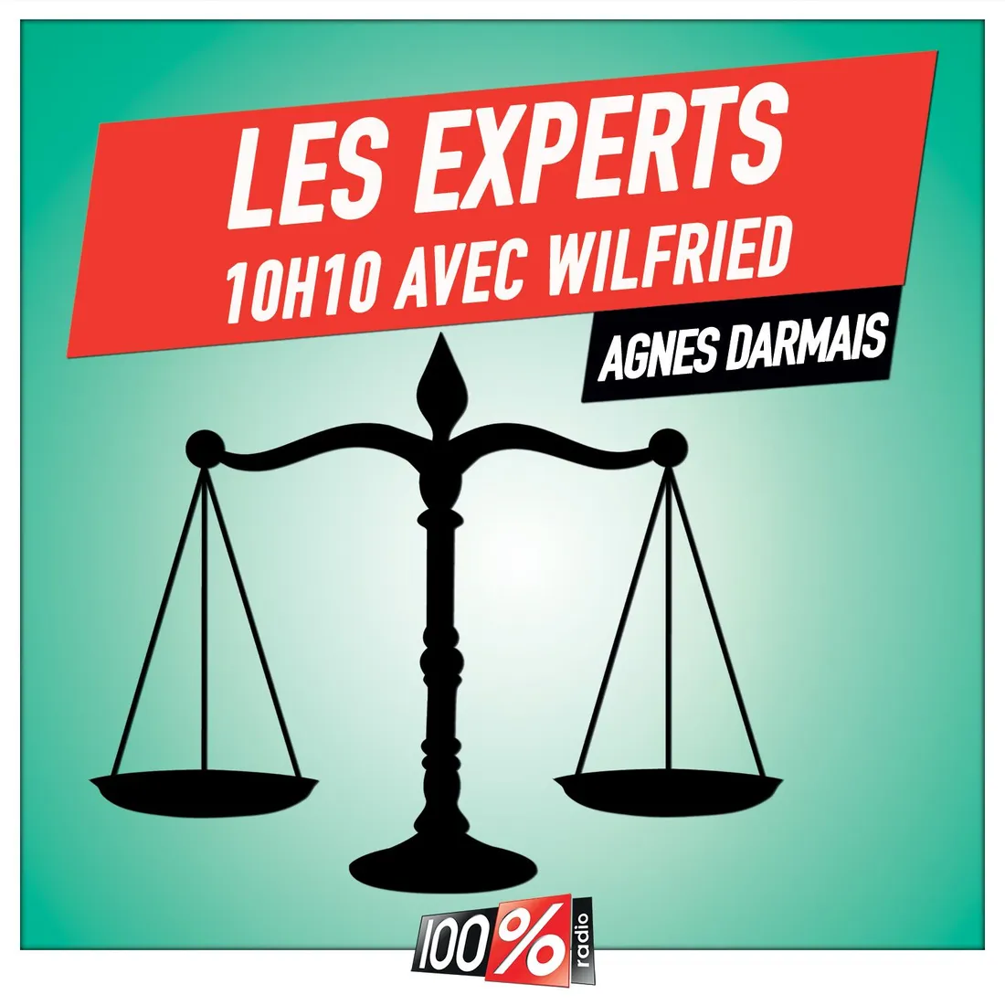 Les experts de Wilfried, Agnes Darmais