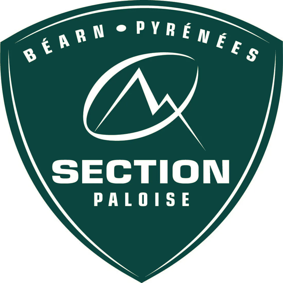 Logo section paloise new