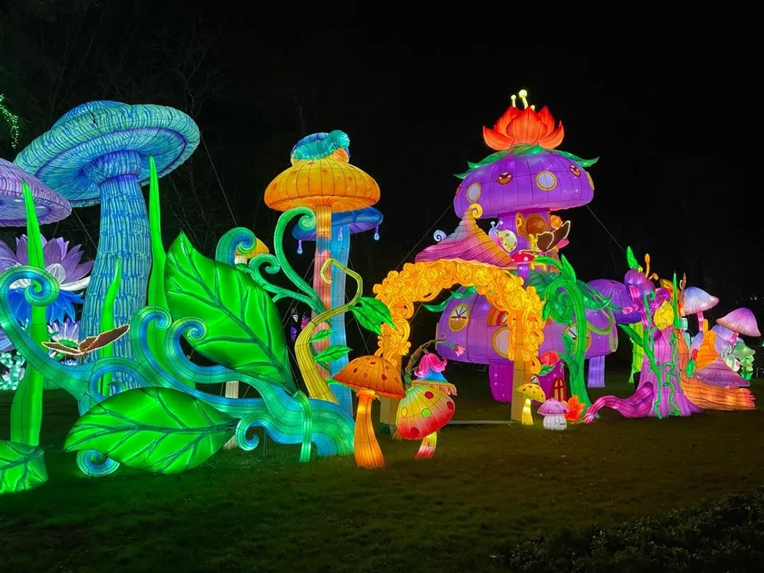 Festival des lanternes montauban