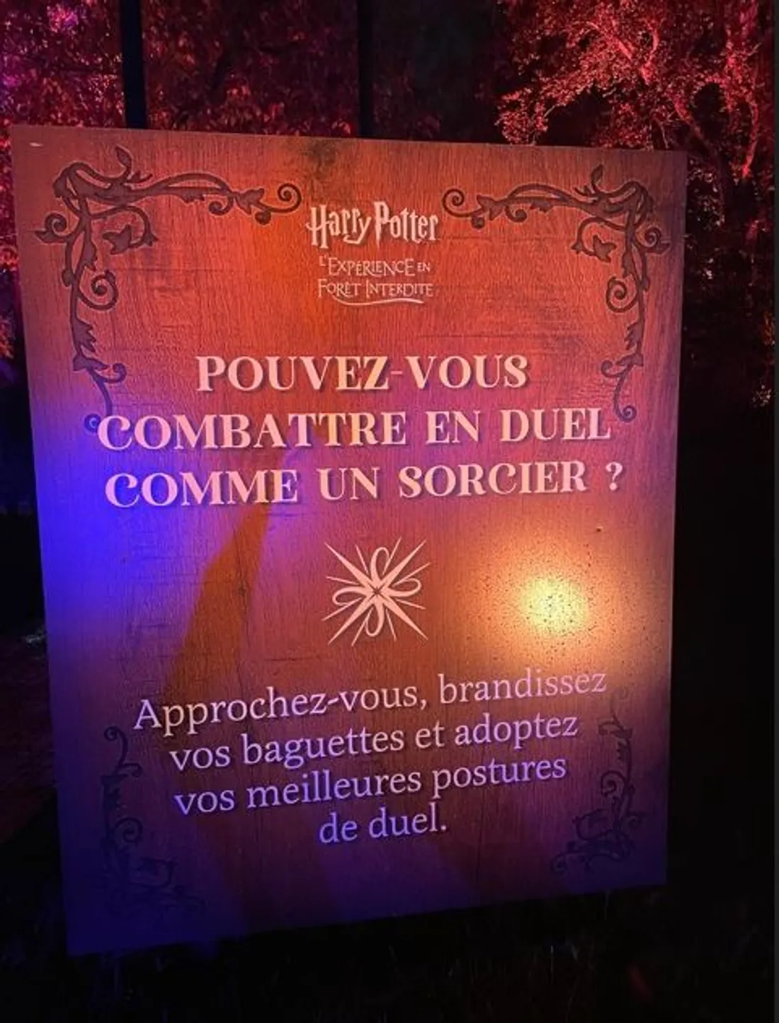 L'expérience Harry Potter démarre ce samedi à Montauban.