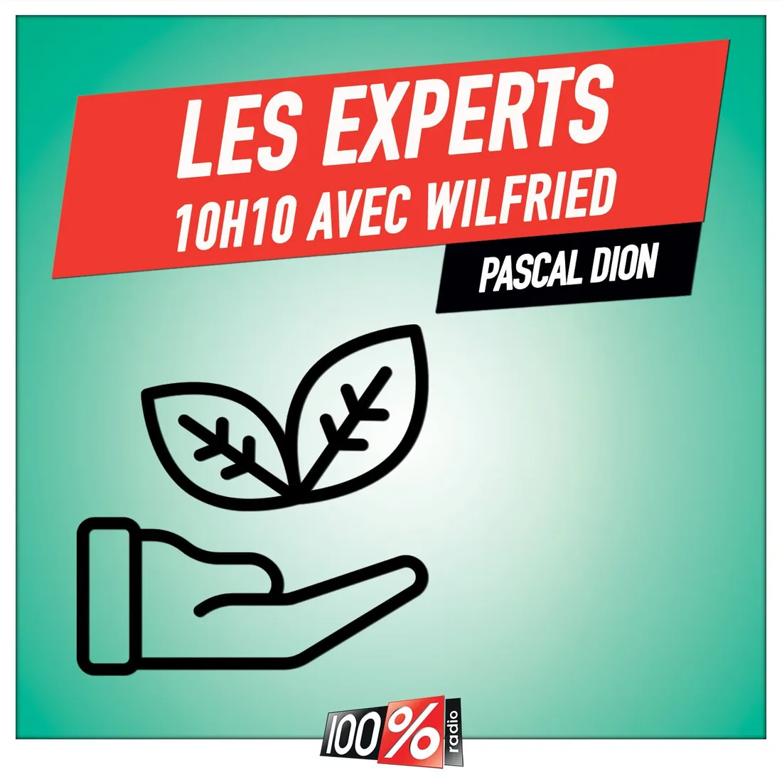 Les experts de Wilfried, Pascal Dion