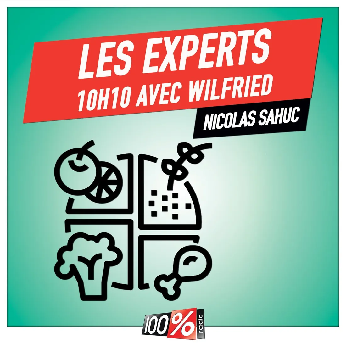 Les experts de Wilfried, Nicolas Sahuc