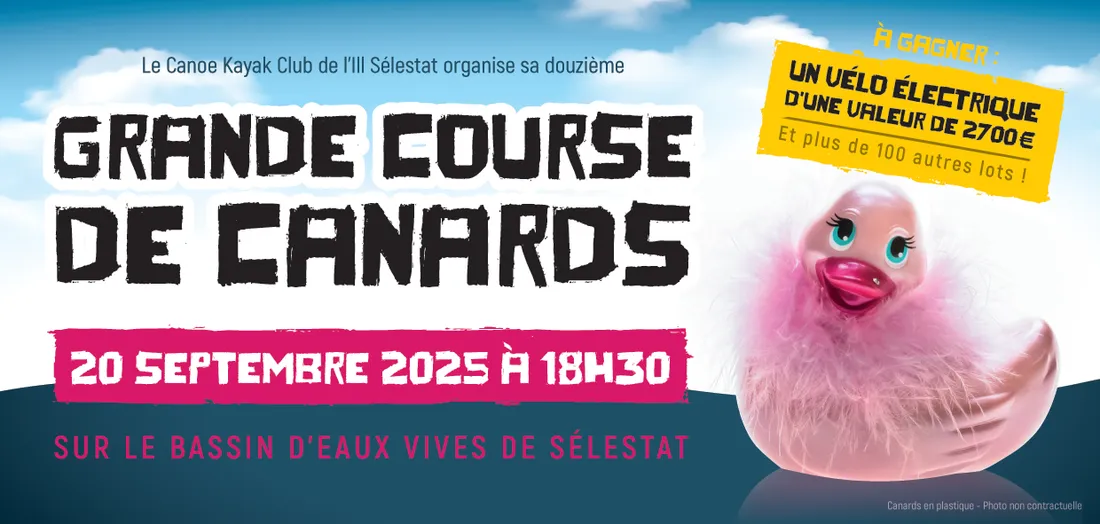 Grande Course de Canards de Sélestat
