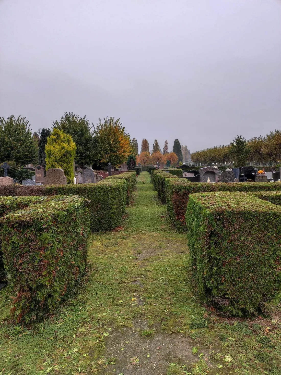 Le cimetière de la Robertsau à Strasbourg