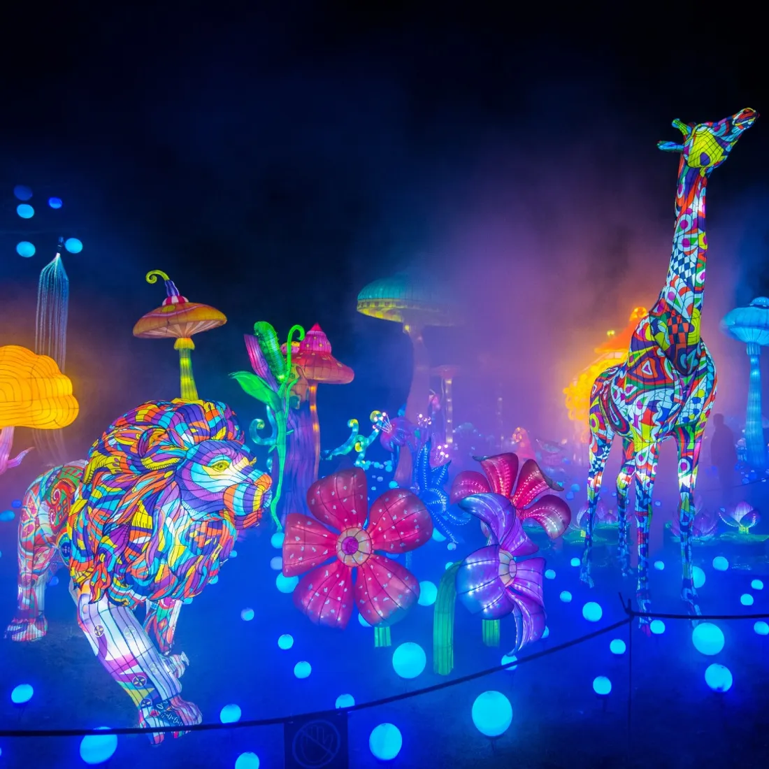 Le festival Luminescences a débuté au Zoo d'Amnéville
