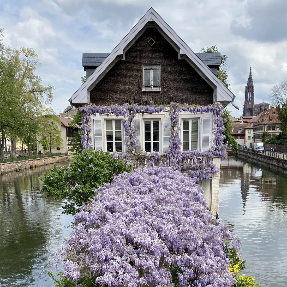Strasbourg est la troisième ville la plus verte de France