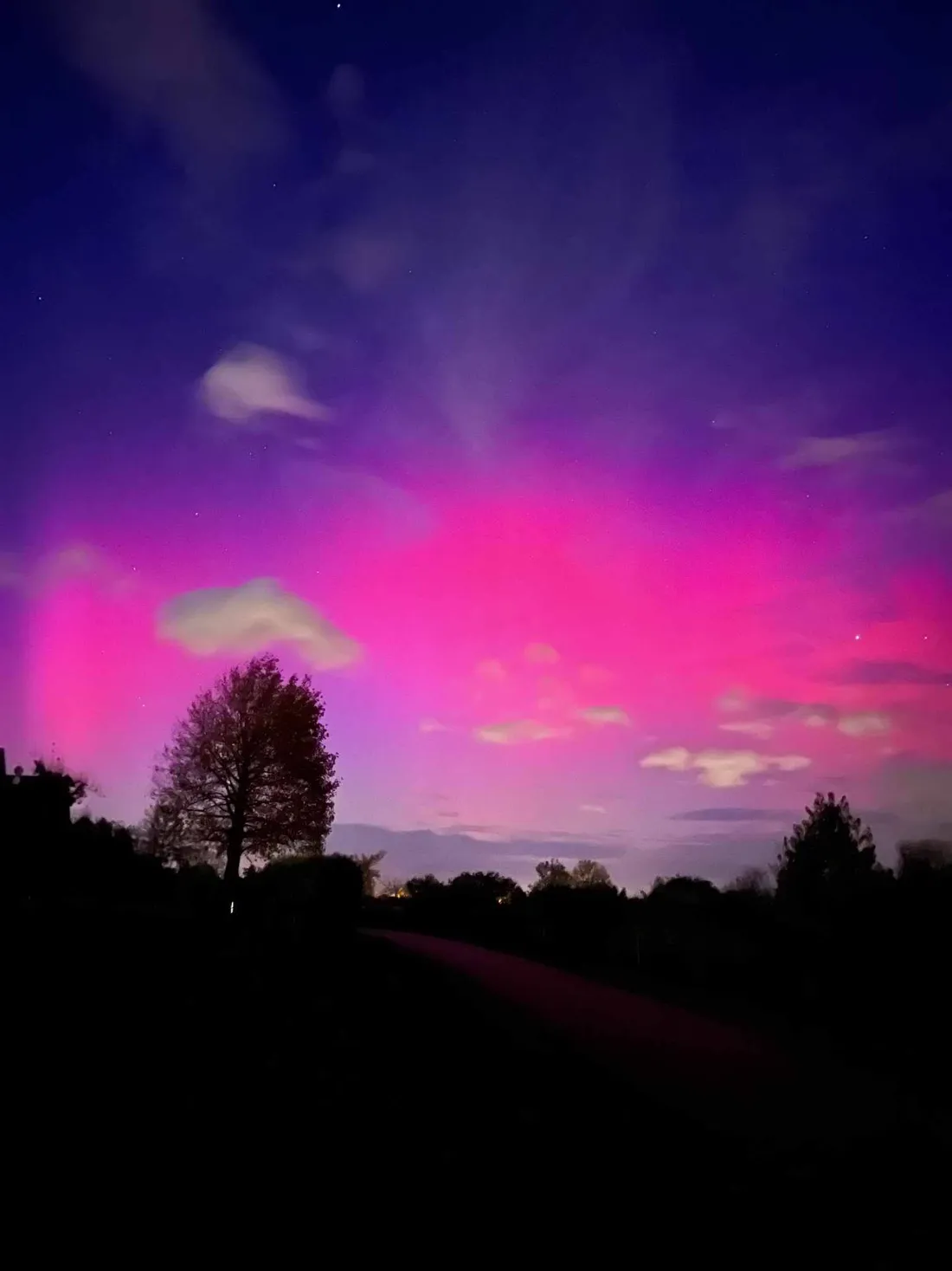 Météo Suivi Alsace publie des prévisions mais aussi des photos comme ici une aurore boréale