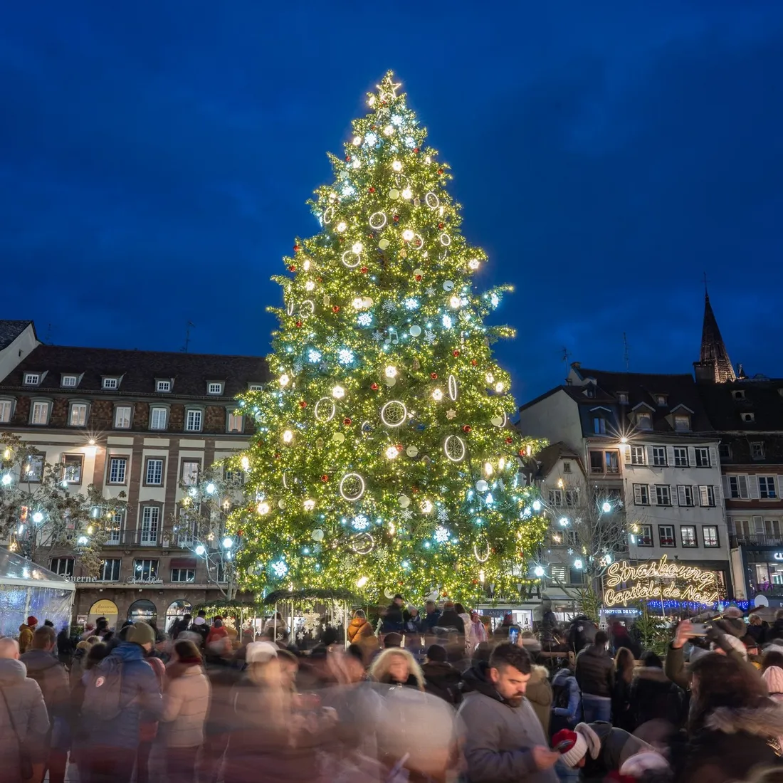 Le sapin de Noël de la place Kléber a été la cible d'écologistes militants