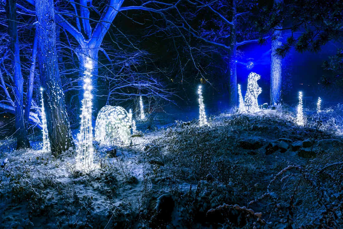 Les installations lumineuses du Christmas Garden de Karlsruhe