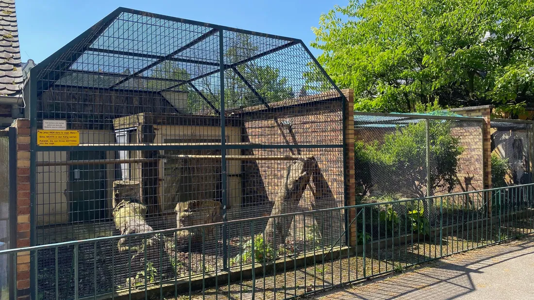 Le zoo de l'Orangerie est vide depuis le transfert de ses anciens occupants. 