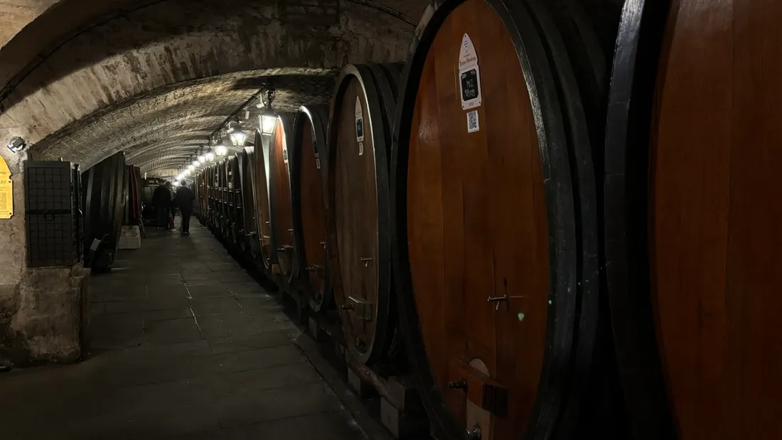 Les foudres en bois dans lesquels des vins alsaciens s'affinent aux Hospices de Strasbourg.