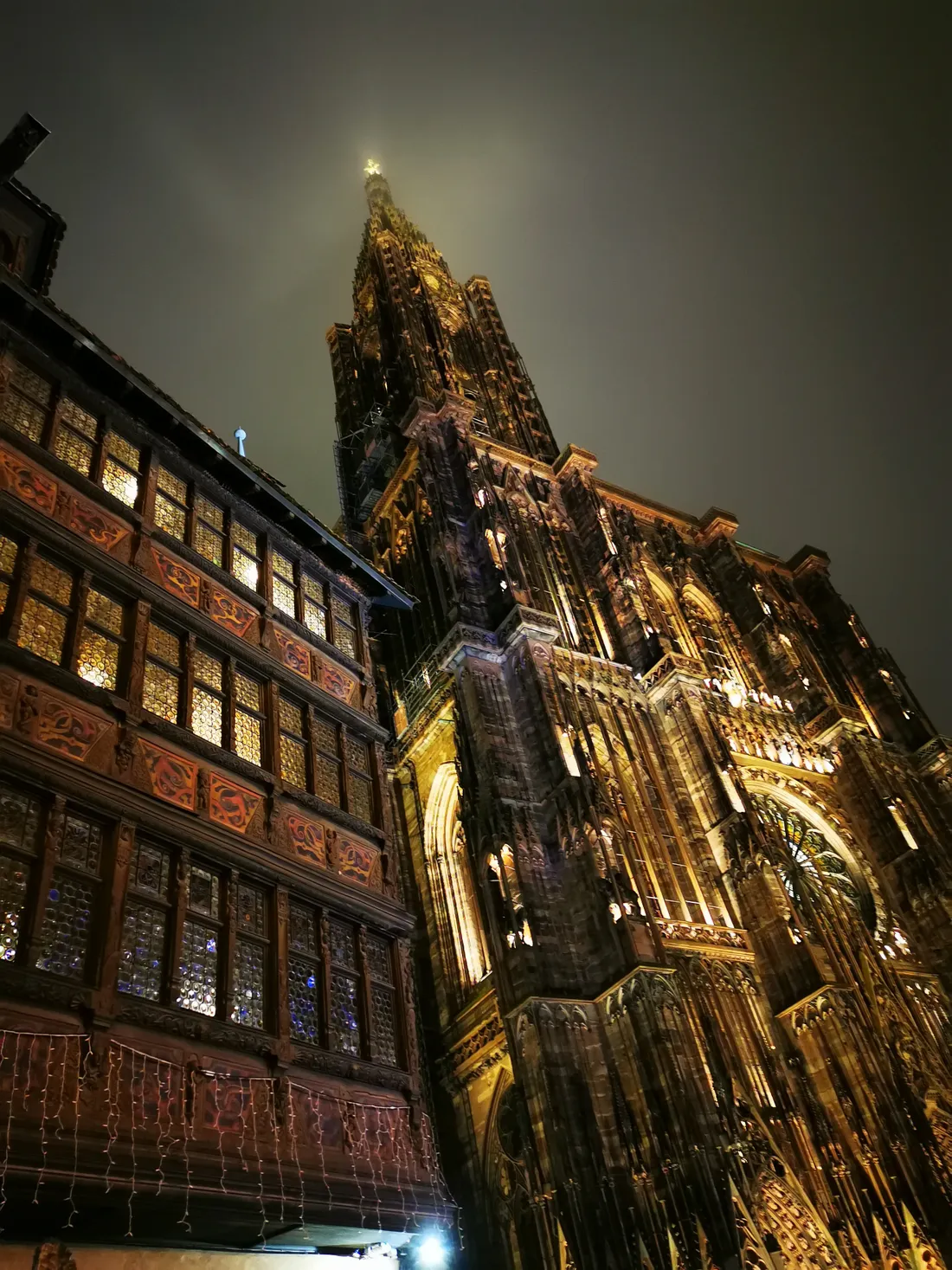 4 grimpeurs ont escaladé la cathédrale de Strasbourg la nuit dernière