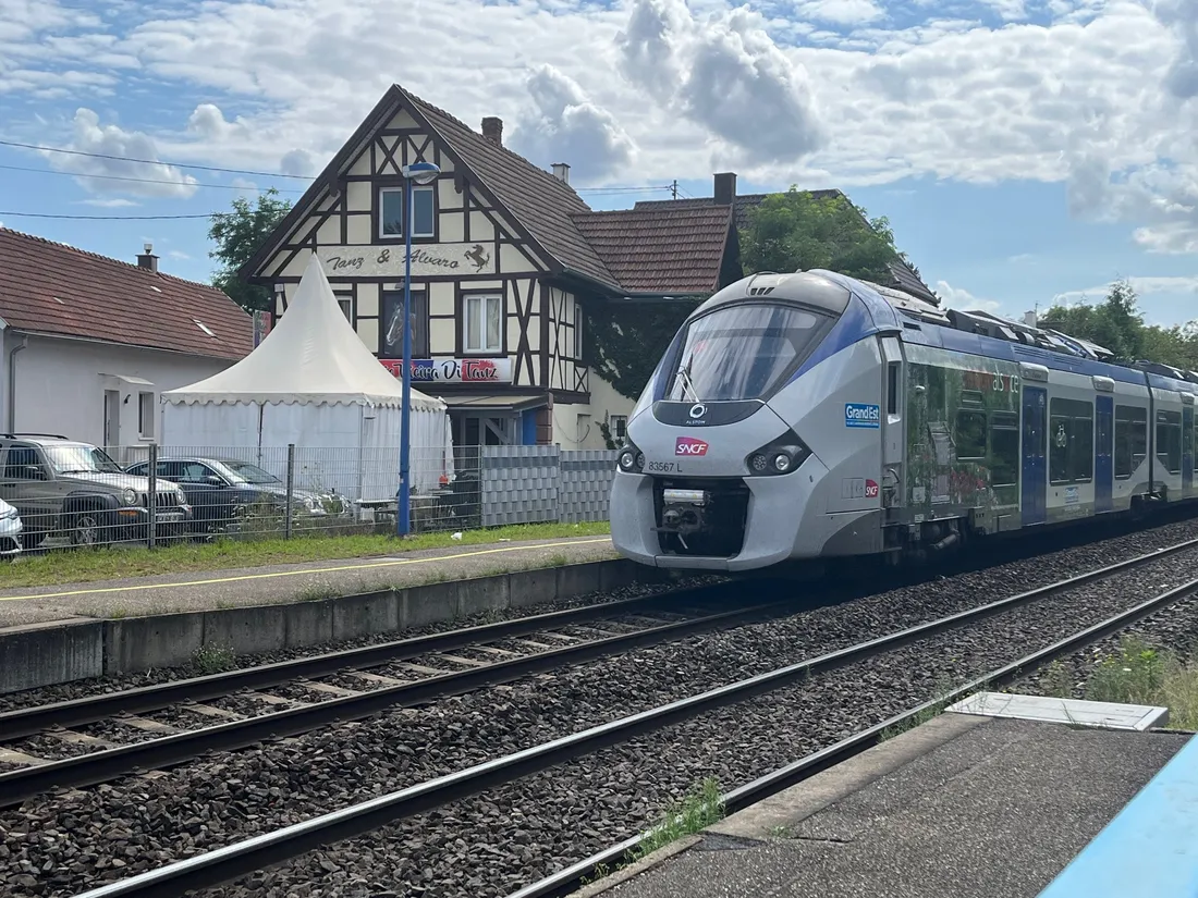Le projet du REME a été mis en place en décembre 2022