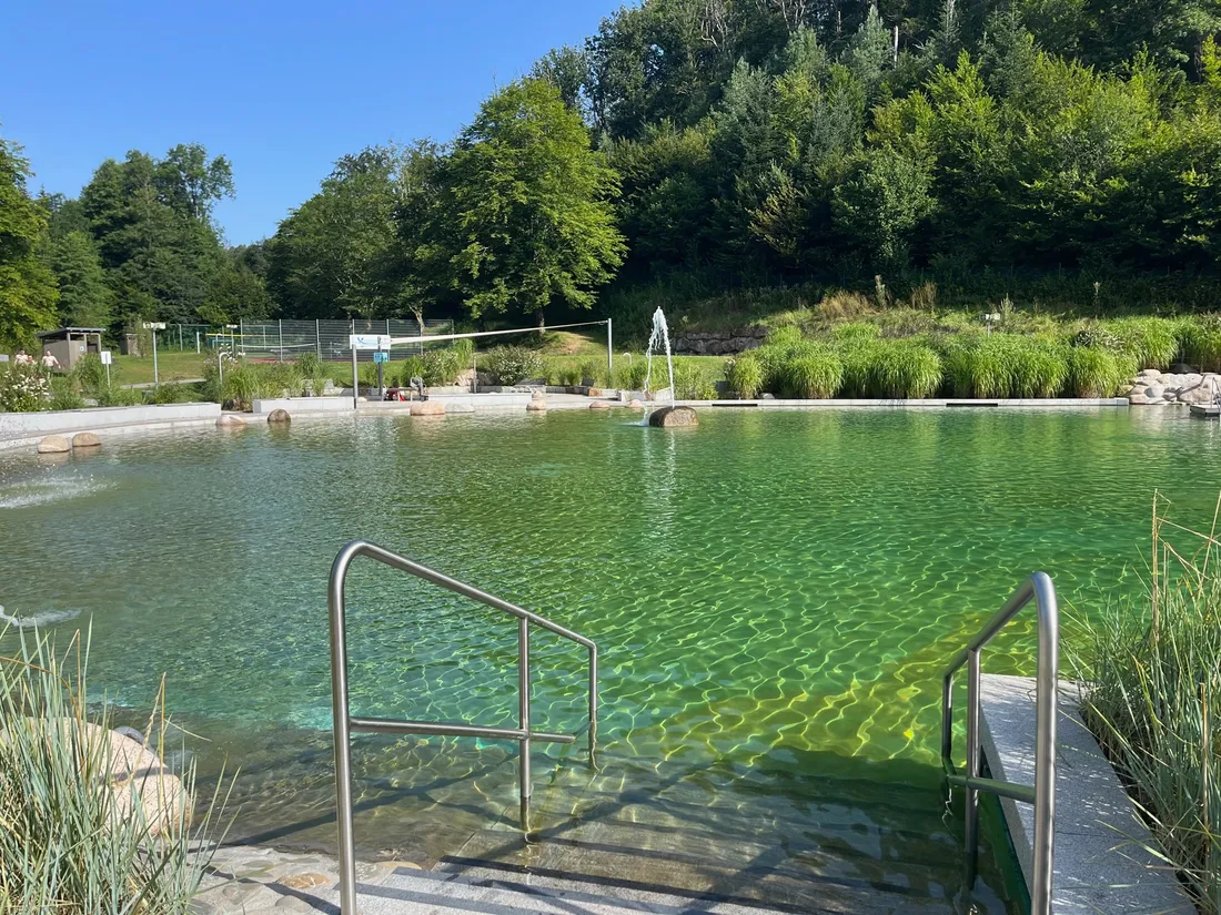 Le Waldseebad propose des bassins naturels, mais aussi chlorés 