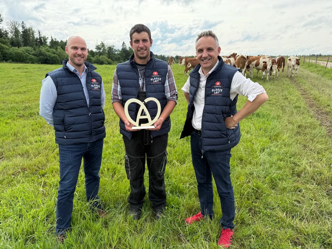 Alsace Lait fait partie d'Alsace Excellence