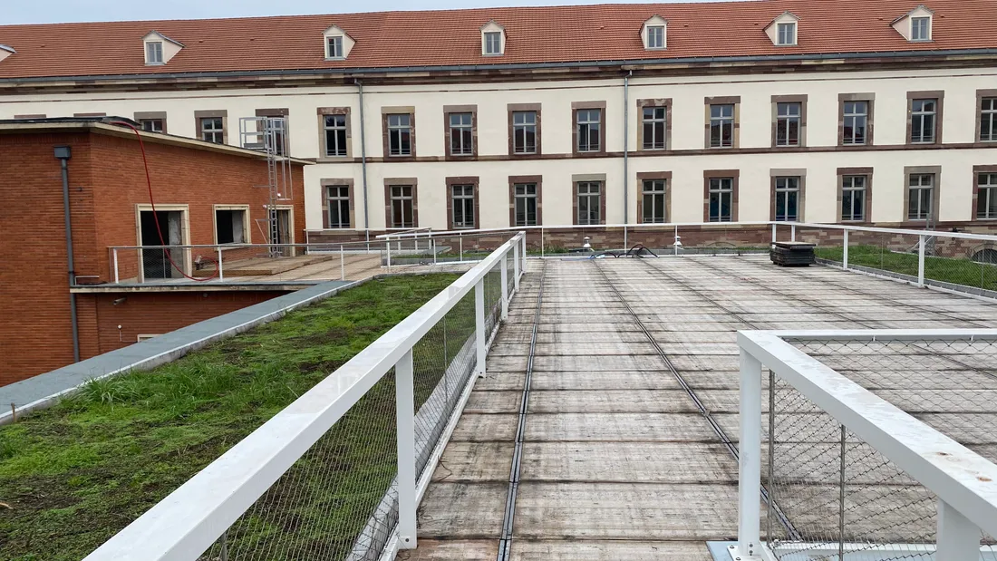 Le rooftop de Kooma risque d'être la nouvelle terrasse en vogue à Strasbourg.