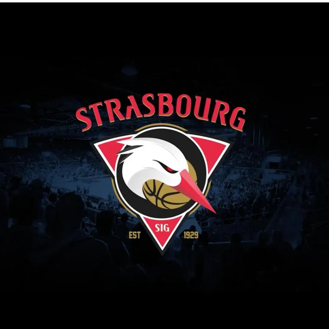 Logo SIG Strasbourg