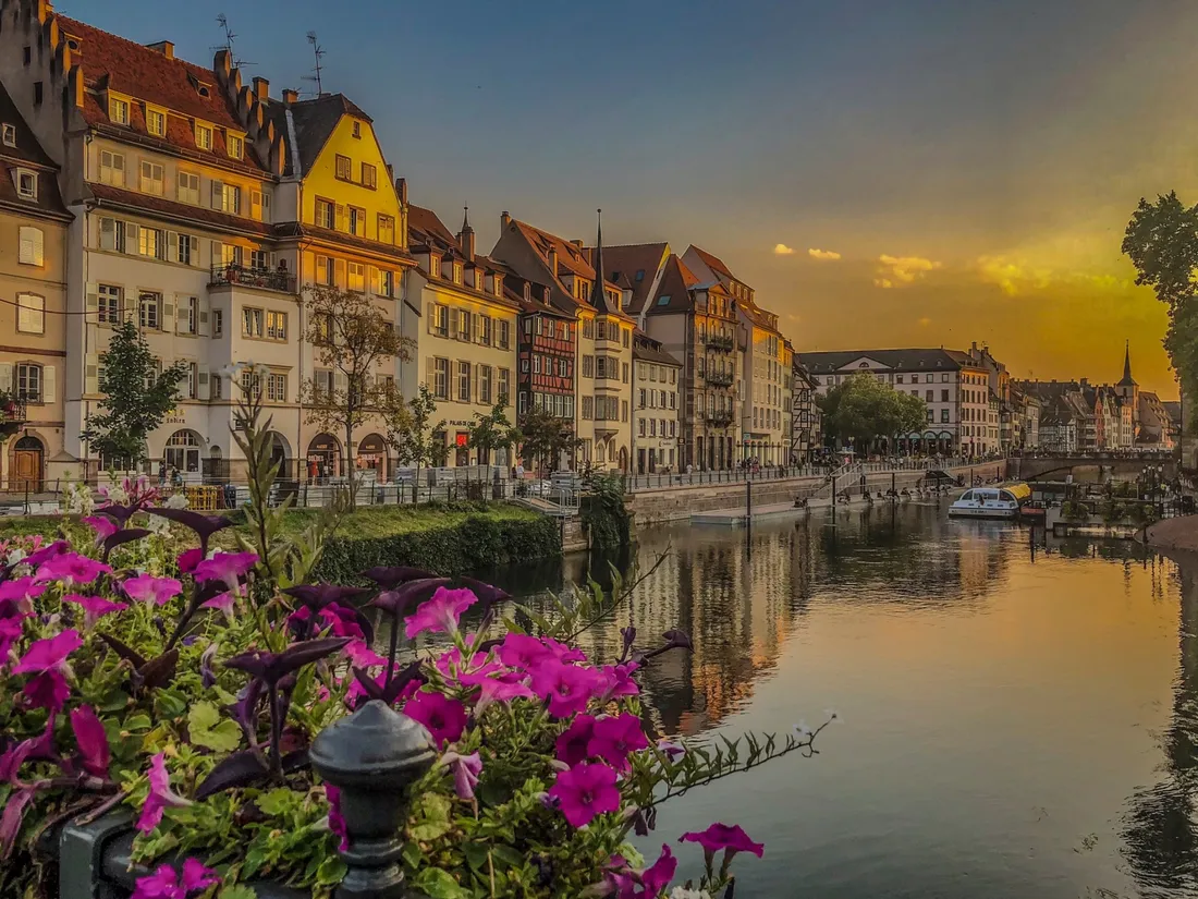 Les Vitrines de Strasbourg concourent pour le centre-ville commerçant le plus beau de France 