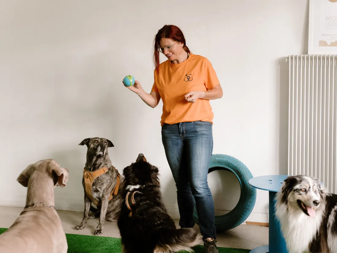 Strasbourg : une garde ponctuelle de votre chien
