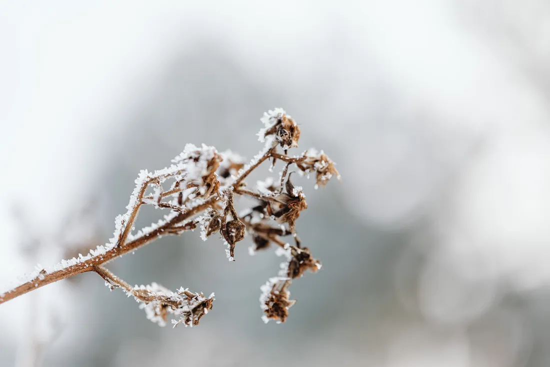 L'hiver n'a pas encore dit son dernier mot