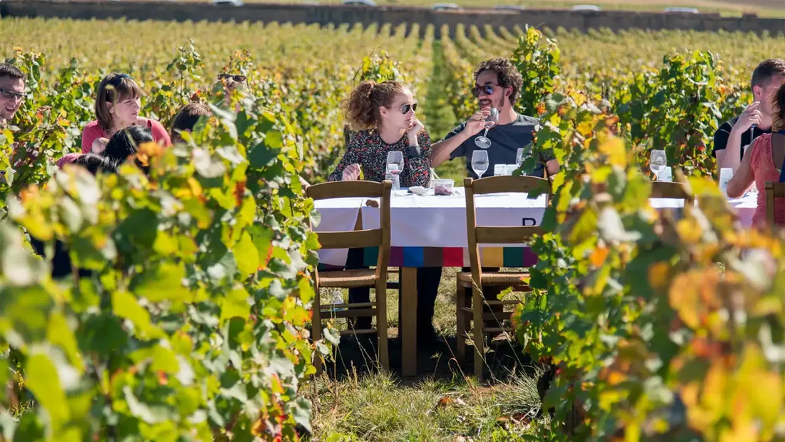 Le vigneron indépendant vous accueillera chez lui