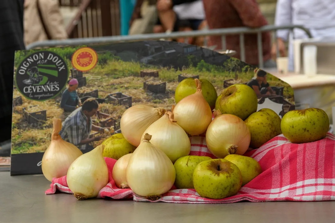 oignons doux des cevennes 2024